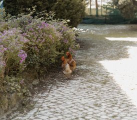 4 Day Flexible Nana House Yoga Retreat in Ericeira, Portugal with Pranayama, Meditation & More - Photo 5