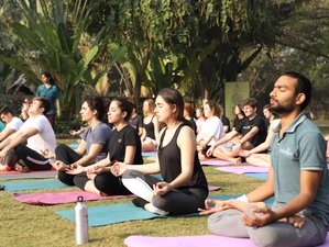 4 Month 200-Hour Online Group AYUSH Yoga Teacher Training With 48 Contact Hours