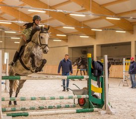 4 Day Jumping Training and Horse Riding Holiday in Galiny, Gmina Bartoszyce, Poland - Photo 3