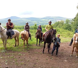 104 Tage Reiturlaub in Gyöngyössolymos, Ungarn für Anfänger bis Fortgeschrittene Reiter - Photo 1