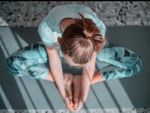 Non-Residential Wellness Day in London, UK