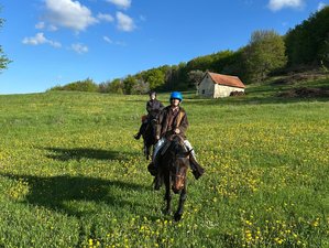 8 Day Taor Trail Horse Riding Holiday in the Untouched Nature of Serbia