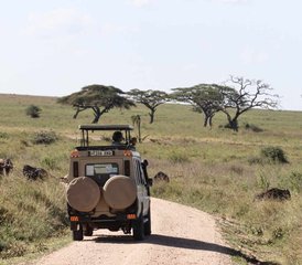 4 días de safari de lujo en el Serengeti y el cráter del Ngorongoro, Tanzania - Photo 2