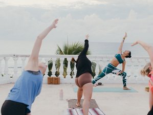 Top Yoga Retreats in Mexico 