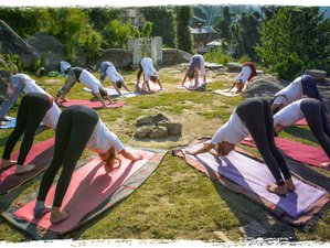 13 Day 100-Hour Ashtanga Yoga Teacher Training in Dharamshala, India
