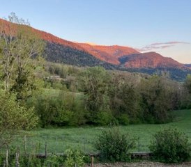 57 jours de stage de Yoga Iyengar dans un éco-gîte au milieu de la forêt dans le Jura en France - Photo 1