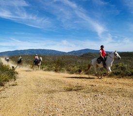 8 Tage Fortgeschrittener Reiturlaub an der Algarve, Portugal - Photo 4