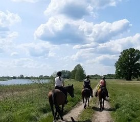 3 Day Center-based Riding Holiday on Borderland Trails in Historical Podlachia, Poland - Photo 3