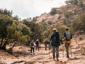 8 Day Guided Hiking Tour in Jordan