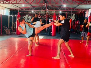 8 Day MMA and Jiu-Jitsu Training Camp in La Paz, Baja California Sur, Mexico