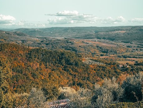 Vojnić