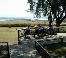 4 Day Great Rift Valley Lakes Safari in Kenya - Photo 4