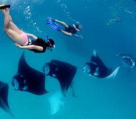 8 jours en stage de conservation marine et yoga avec snorkeling ou plongée sur un yacht privé aux Maldives - Photo 2