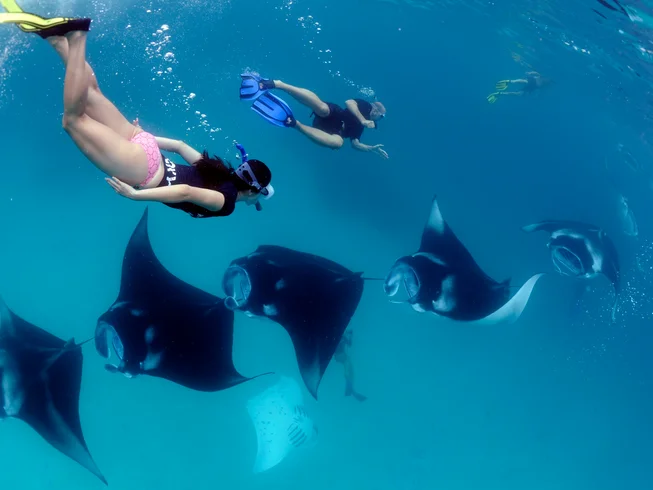 8 Day Ocean Conservation and Yoga Retreat with Snorkeling or Diving on a Private Yacht in Maldives