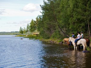 2 Day Horse Riding Holiday in Swedish Lapland, Västerbotten