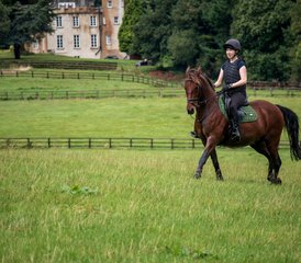 5 Day Luxury Horse Riding Holiday with Cultural and Foodie Experiences in Wicklow, Ireland - Photo 2