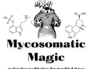 2 Day Private 1:1 Psilocybin Therapy Retreat in El Gastor, Spain