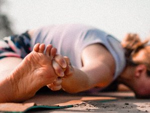 7 Day 50-Hour Yin Yoga Specialist Teacher Training in Goa, India