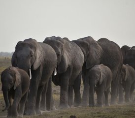 7 Day Best of Kenya Budget Group Safari - Photo 3
