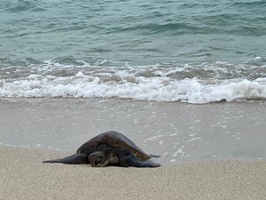 5 Day Great Adventure and Wildlife Tour in Galapagos, Ecuador Aboard The Seaman Journey