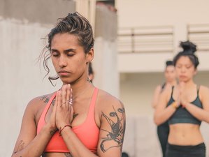 58 Day 500-Hour Yoga Teacher Training in Rishikesh, India