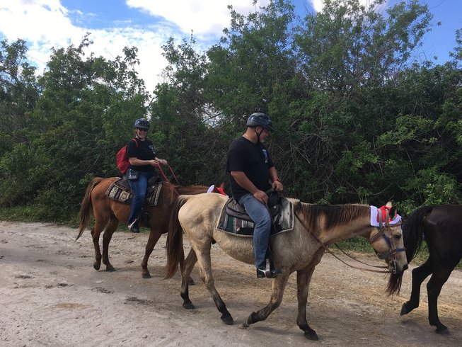 3 Day Wildlife Rescue Farm Horse Riding Holiday in Merritt ...