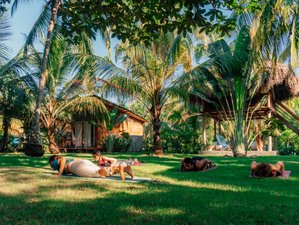 7 Day Grounding in Nature: An Eco-adventure Yoga Retreat in Palomino Beach, Colombia