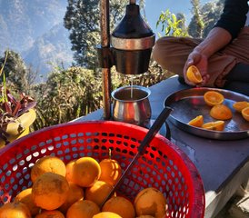 3 jours en retraite de yoga dans les montagnes de l'Uttarakhand, Inde - Photo 4