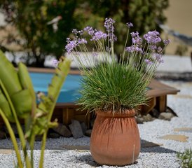 8 Tage Yoga & Entspannung: Deine Herzensreise in Andalusien, Spanien - Photo 5