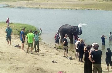 5 Day Chitwan National Park Jungle Safari in Nepal