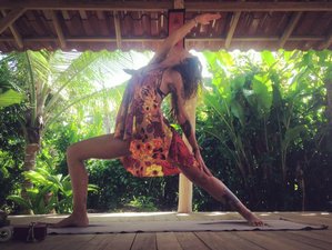 5 Tage 30-Stunden Private Yin Yogalehrer Ausbildung in Puerto Viejo de Talamanca, Limón