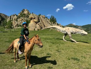 4 Dag Luxe Nomadische Paardrijtocht in Mongolië met Privékamp en Culturele Ervaring