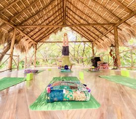 117-Daagse Spread Your Wings Yoga Retreat in Playa Grande, Costa Rica - Photo 1