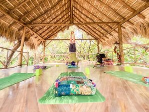7 jours de stage de yoga « Déployez vos ailes » à Playa Grande, Costa Rica