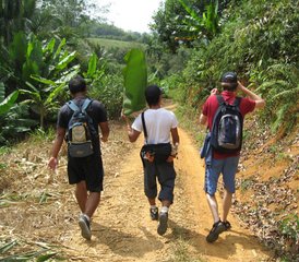 8 Day Nature, Culture, and Yoga Holiday in Paksong, Ranong Area, Chumphon, Thailand - Photo 5
