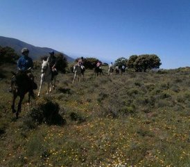 6 Day Spectacular Alpujarra Trail Ride Holiday in Lanjarón, Andalusia - Photo 3