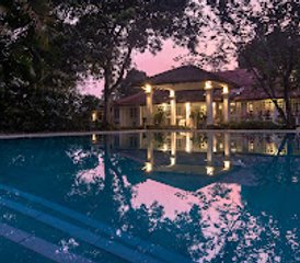 10 Day Yoga and Meditation Retreat with Buddhist Teachings in Kalutara, Sri Lanka - Photo 5