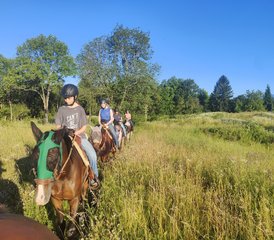5 Tage Reitabenteuerurlaub in Rakovica, Kroatien - Photo 5