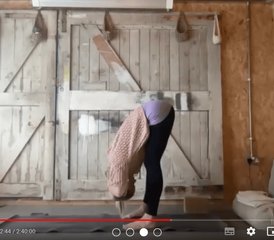Le langage somatique : 2h30 d'introduction en ligne pour les professeurs d'incarnation avec Delamay Devi - Photo 3