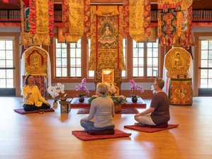 4 Day MLK Weekend of Self-Care Yoga Retreat in Cazadero, California, in the USA