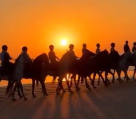 34 jours en stage d'équitation sur l'Atlantique : expériences au lever et au coucher du soleil à Essaouira, Maroc - Photo 1