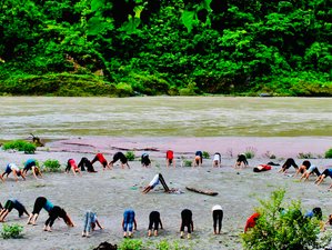 15 Day 100-Hour Hatha, Ashtanga, & Vinyasa Flow Yoga Teacher Training in Rishikesh, India