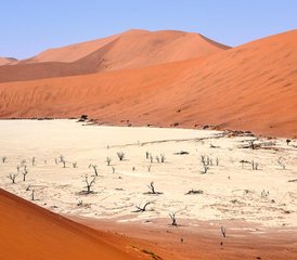 8 días de retiro de yoga y aventura en la naturaleza con safari en Namibia - Photo 5