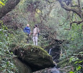 8 Day Hiking, Holistic Yoga and Meditation Retreat in the Himalayas, India - Photo 2