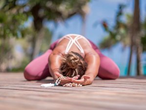 5 Day Revitalize Your Mind, Body, and Soul Yoga and Wellness Retreat in Beautiful Cancun