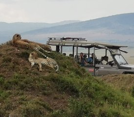 118 días de safari con alojamiento privado en Kenia y Tanzania - Photo 1