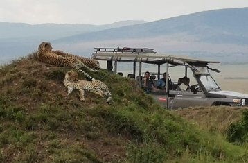8 Tage Private Lodging Safari in Kenia und Tansania