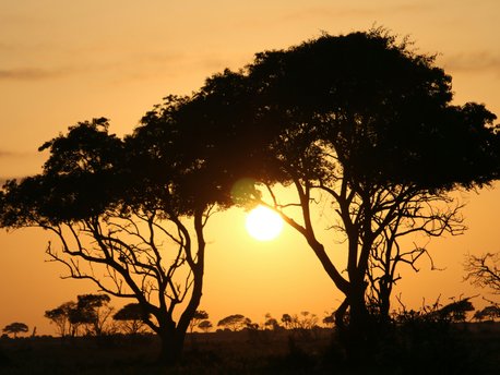 Murchison Falls National Park