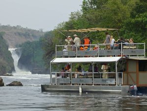 3 Day Wild Encounter Murchison Falls National Park Safari in Uganda