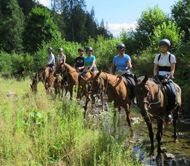 5 Tage Wildnis und Stille Reiturlaub in Rumänien - Photo 2